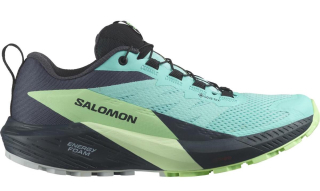 dámská trailová obuv Salomon Sense Ride 5 GTX W - 472160